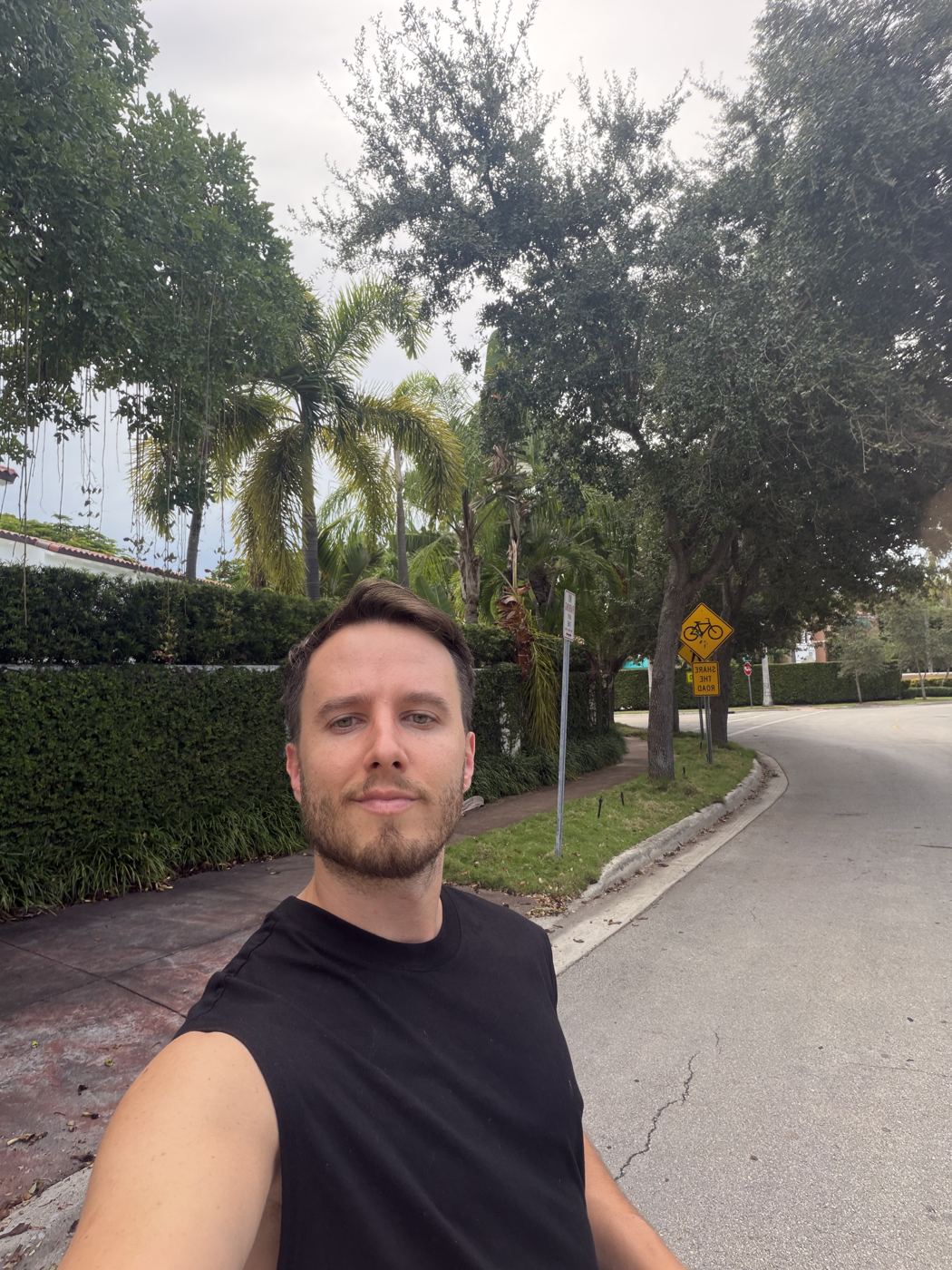 Pato caminando por una calle con palmeras