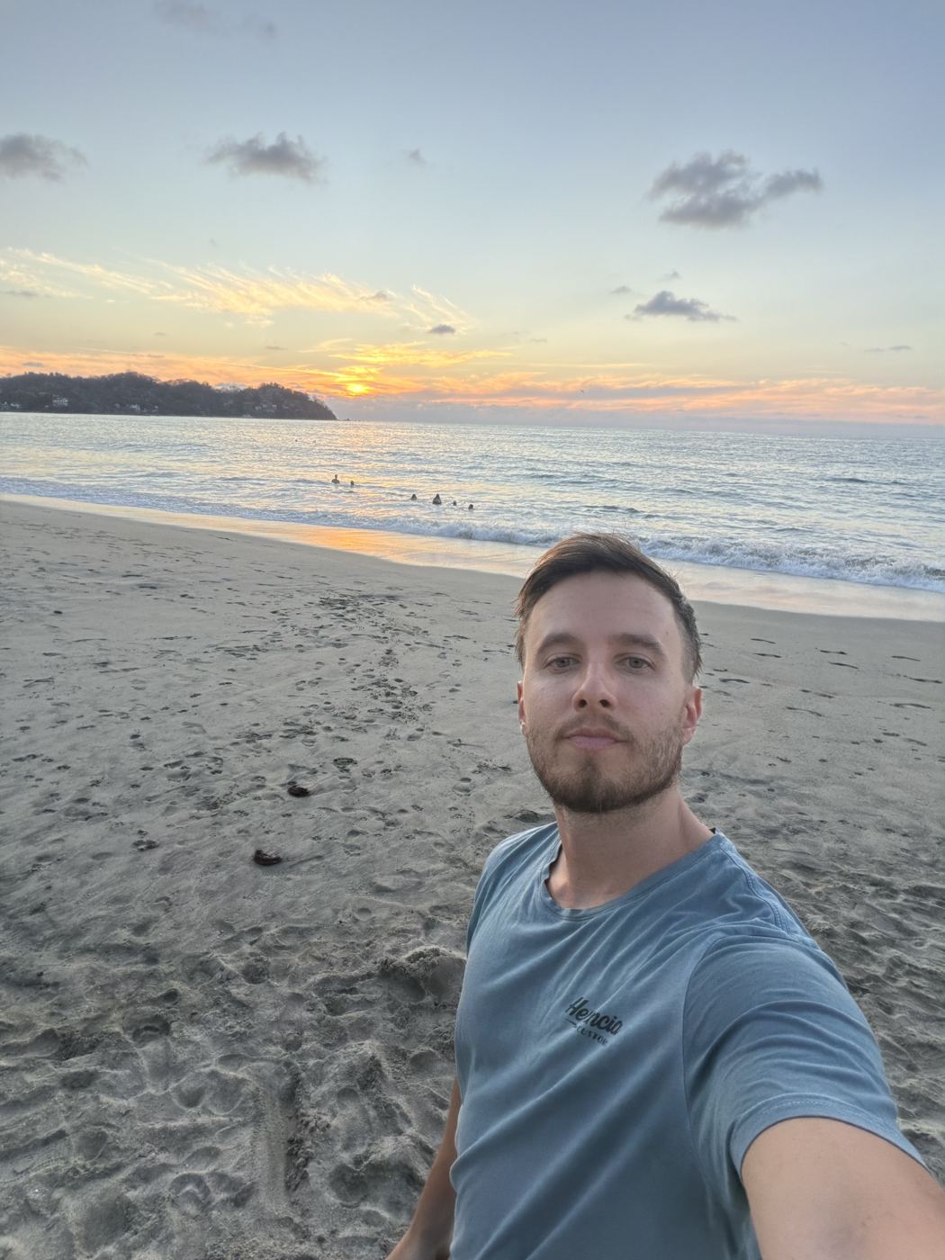 Pato en la playa al atardecer